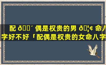 配 🌴 偶是权贵的男 🦢 命八字好不好「配偶是权贵的女命八字案例」